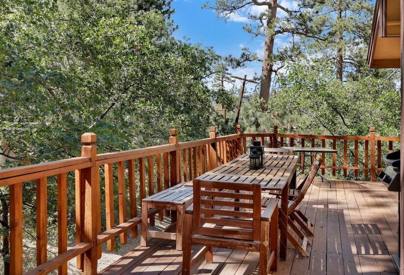 Alpine Adventure #2166