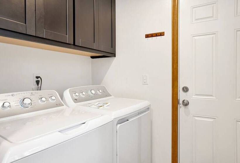 Beary Fun Escape #1445