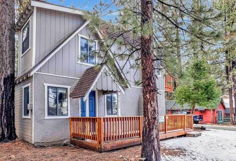 Beary Fun Escape #1445