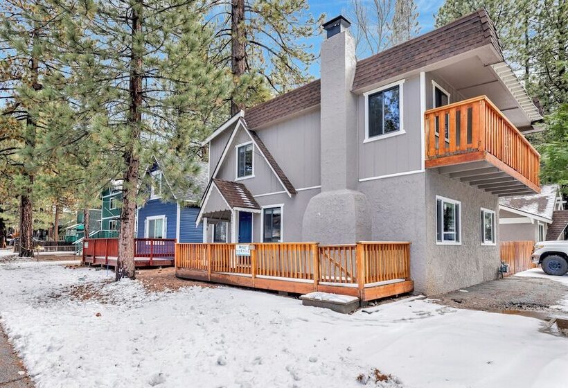 Beary Fun Escape #1445