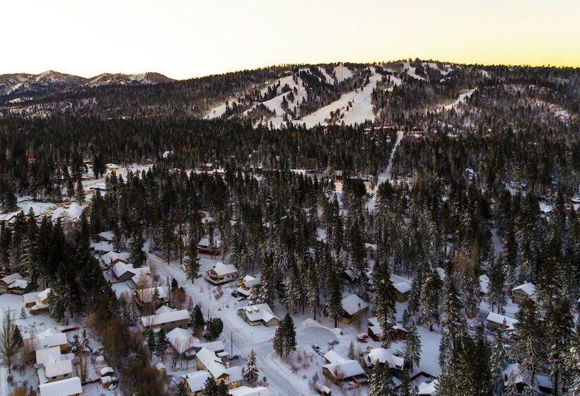 Beary Fun Escape #1445