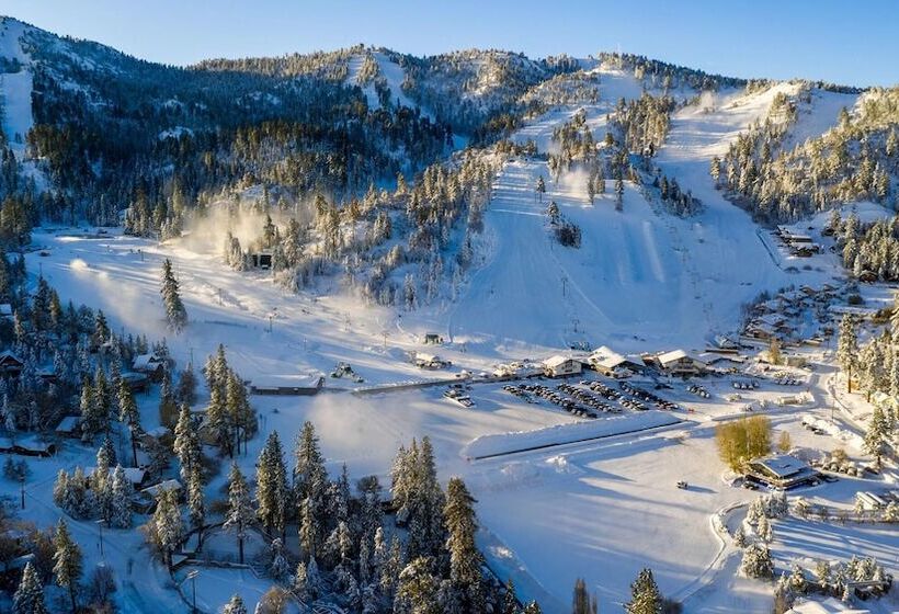 Beary Fun Escape #1445