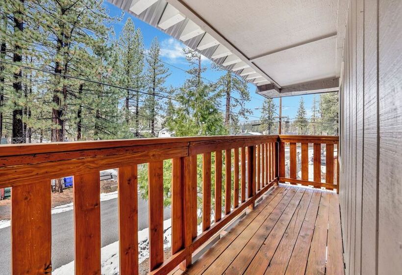 Beary Fun Escape #1445