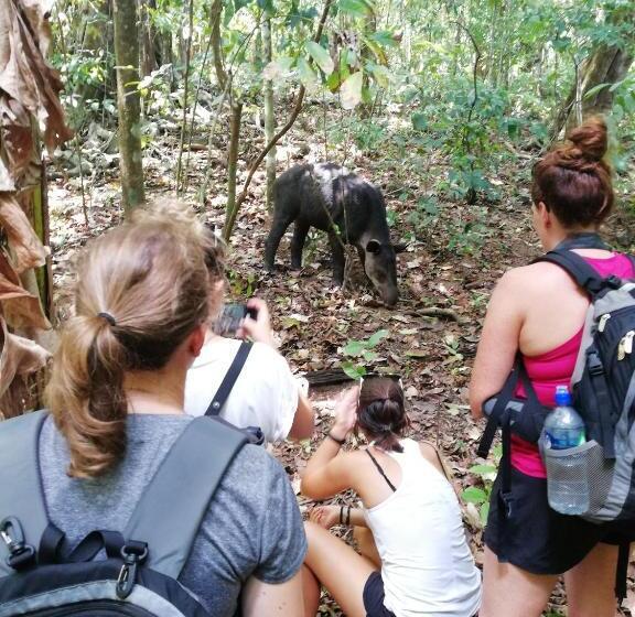 Corcovado Wild Hostel