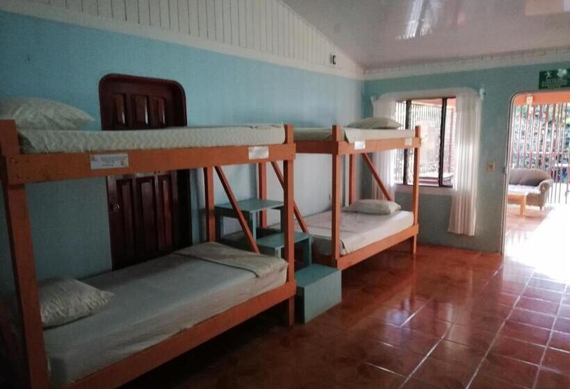 Corcovado Wild Hostel