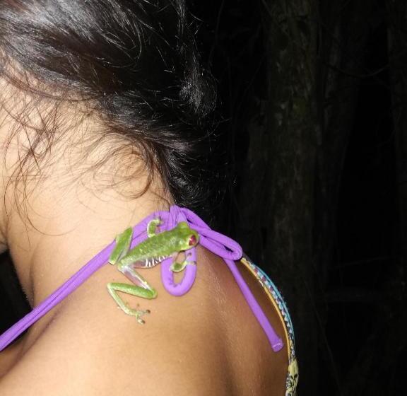 Corcovado Wild Hostel