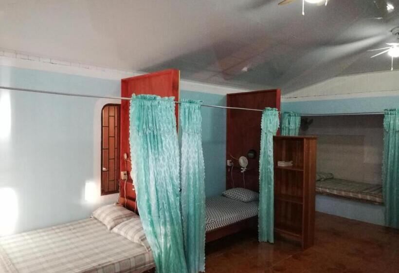 Corcovado Wild Hostel