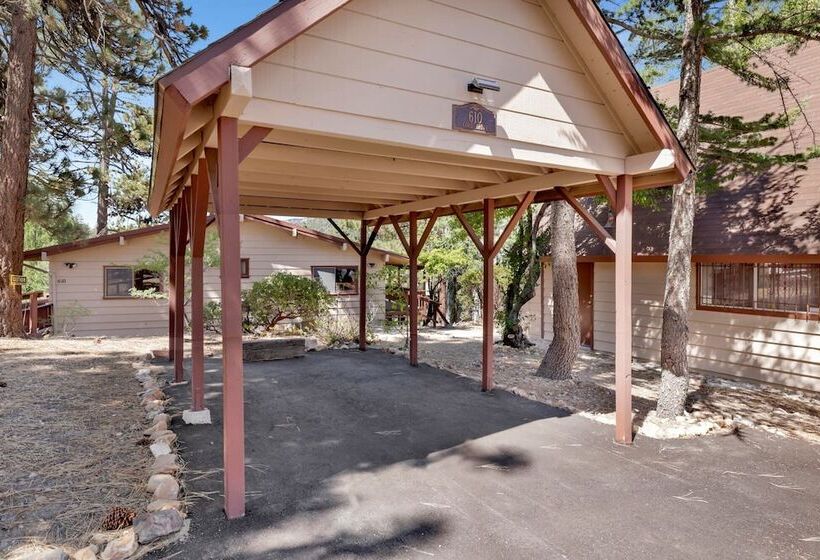 Cove Lakeview Cabin #2064