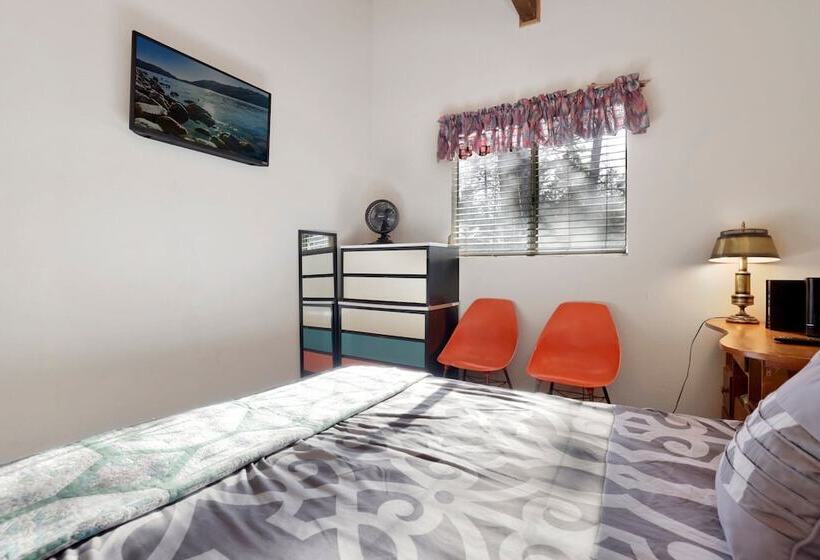 Escape In The Pines #2276