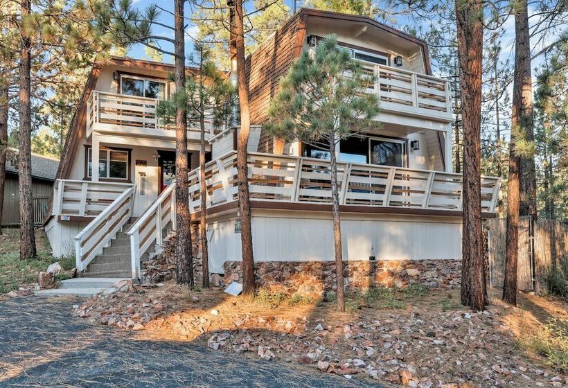 Fox & Bears Retreat #2190