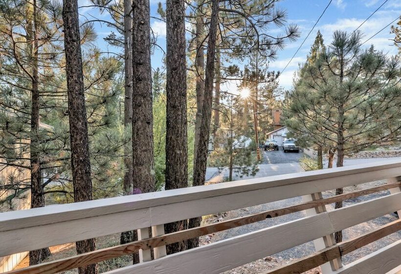 Fox & Bears Retreat #2190