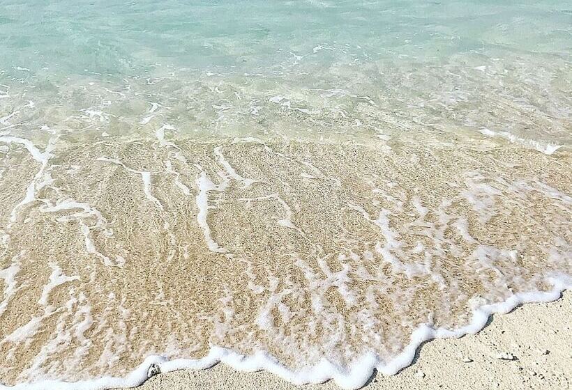 Guest House Love&peace!!   Hostel