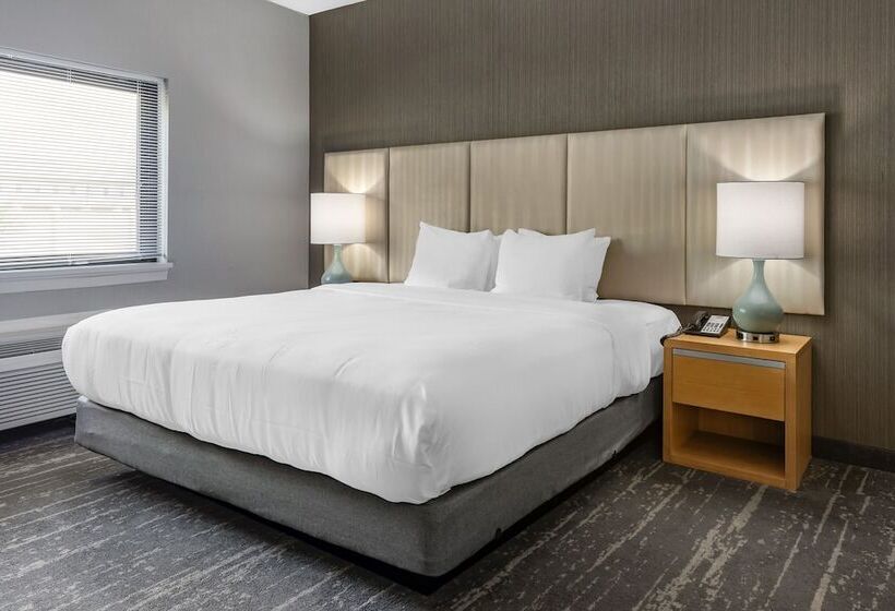 酒店 Amwell Suites Somerset/bridgewater