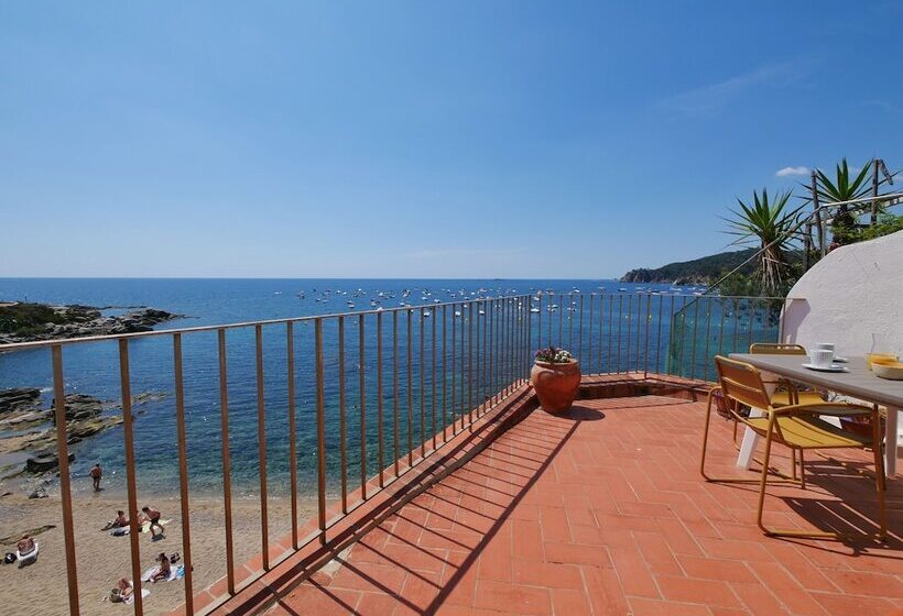 酒店 Casa Concha   Casas