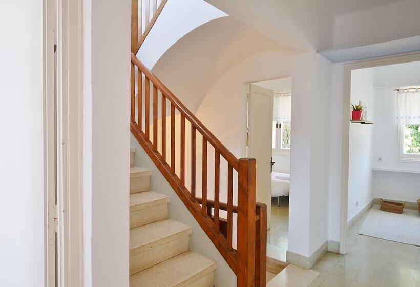 酒店 Casa Concha   Casas