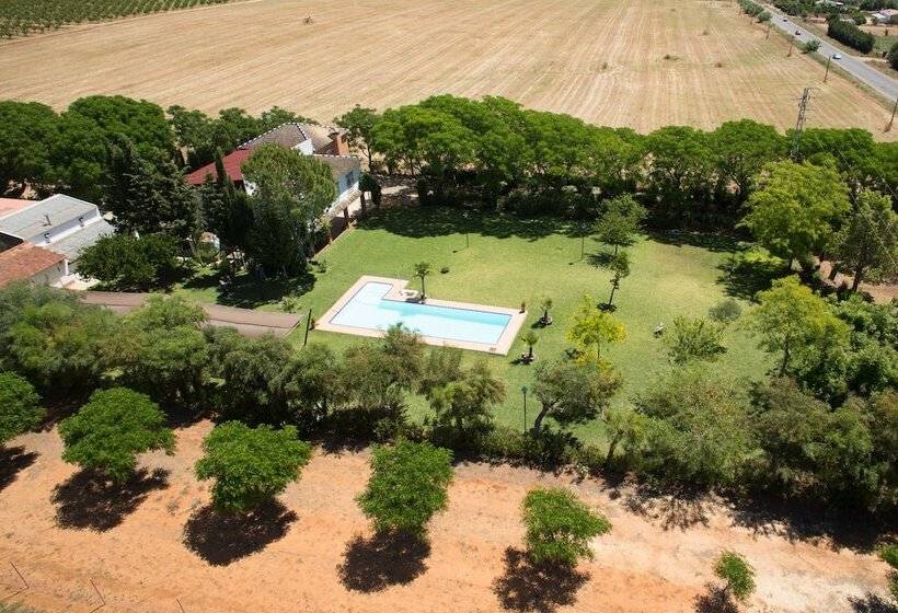 호텔 Cerros Bravo De Donana