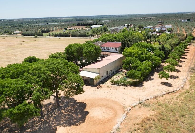 בית מלון כפרי Cerros Bravo De Donana