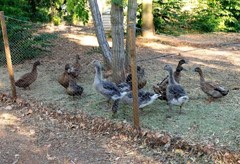 호텔 Cerros Bravo De Donana