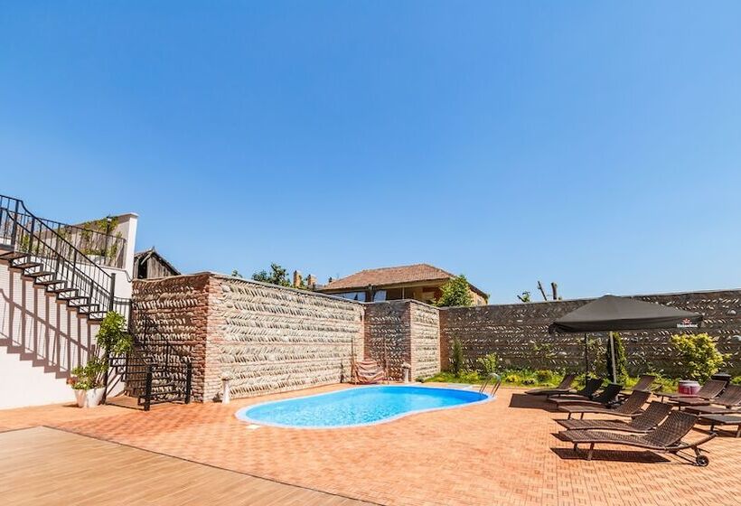 בית מלון כפרי Gino Wellness Mtskheta