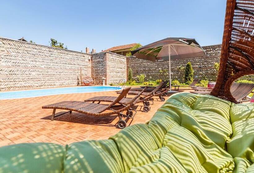 בית מלון כפרי Gino Wellness Mtskheta