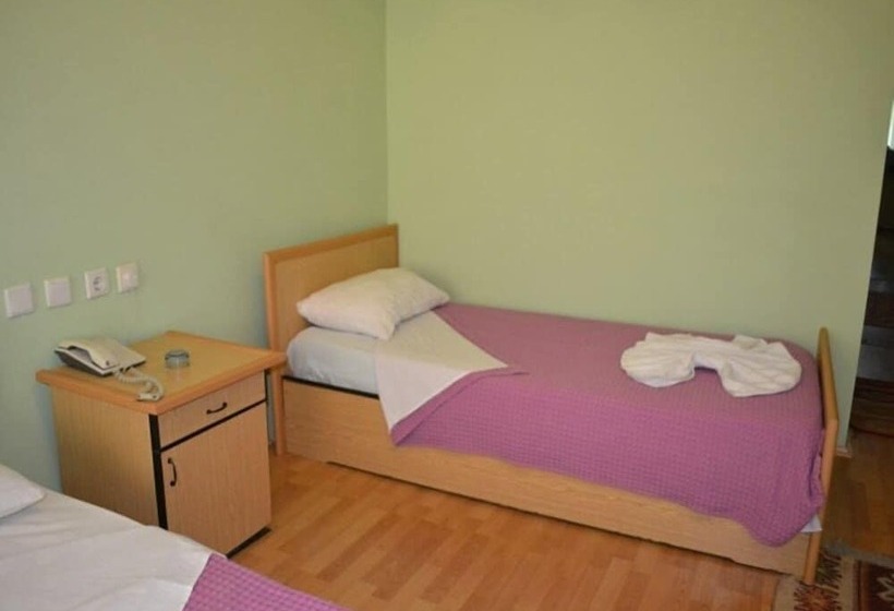 ホテル Green Ayder