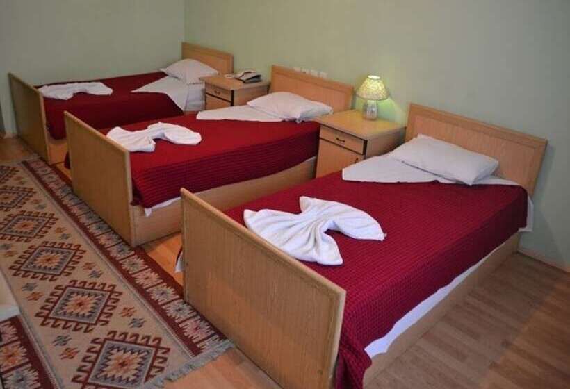 ホテル Green Ayder