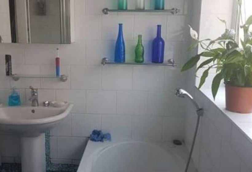 فندق John Wayne Lodge