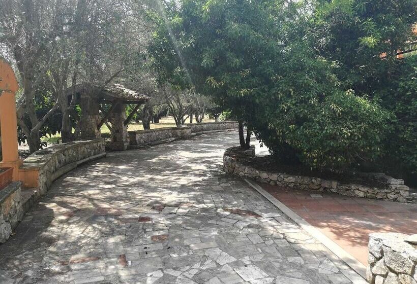 Отель Ristorante La Collina