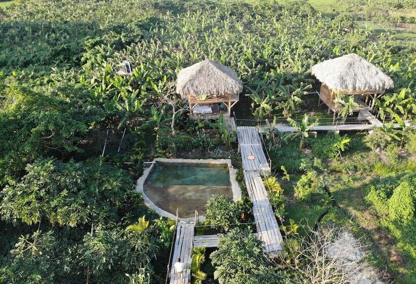 Отель Samana Eco Lodge