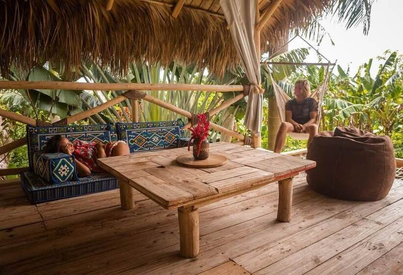 Отель Samana Eco Lodge