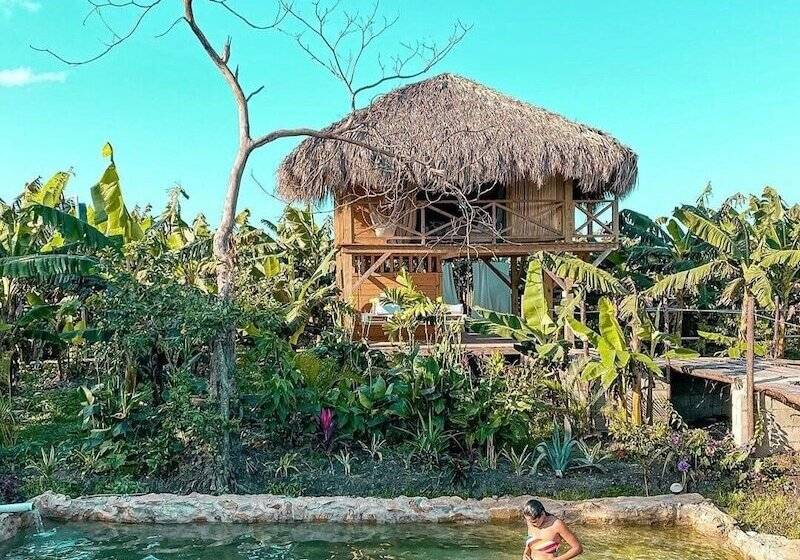 Отель Samana Eco Lodge