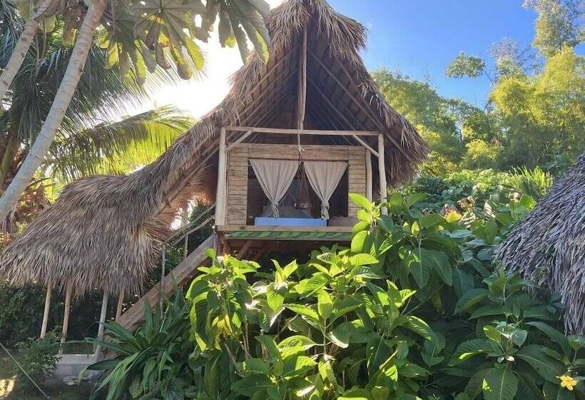 Отель Samana Eco Lodge