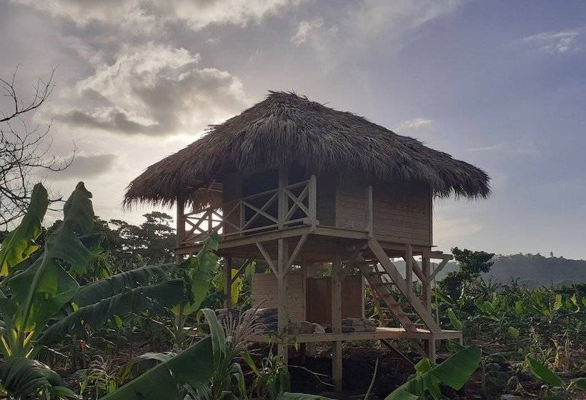 Отель Samana Eco Lodge
