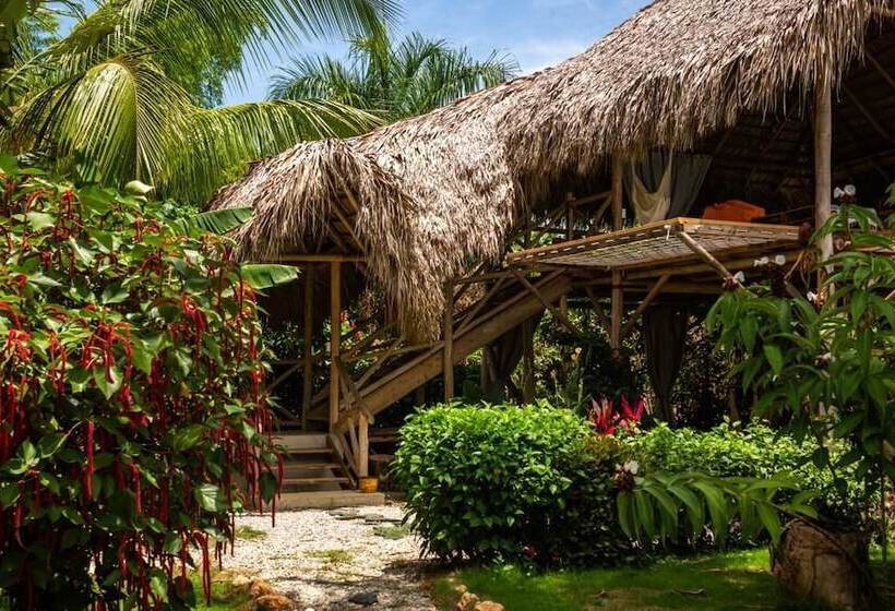 Отель Samana Eco Lodge