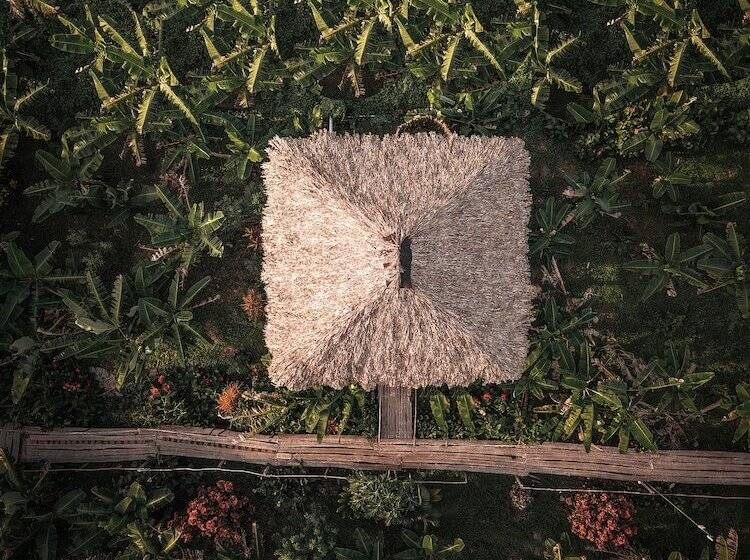 Отель Samana Eco Lodge