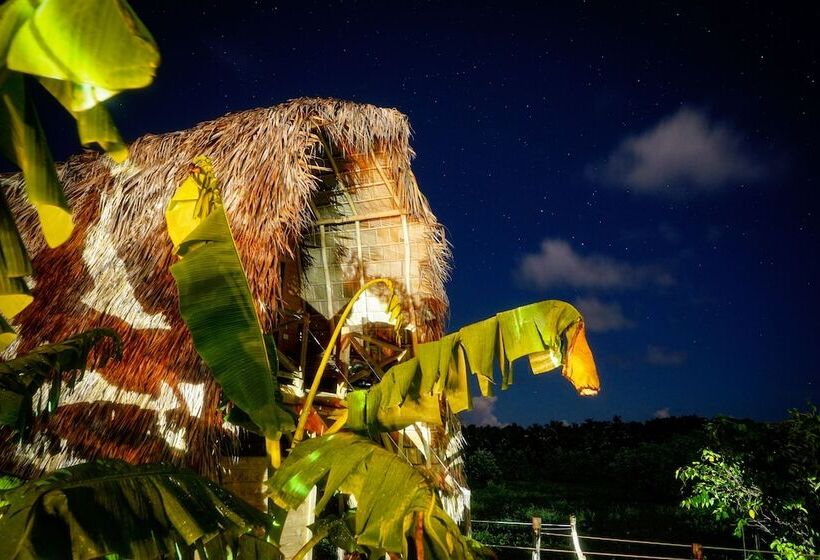 Отель Samana Eco Lodge