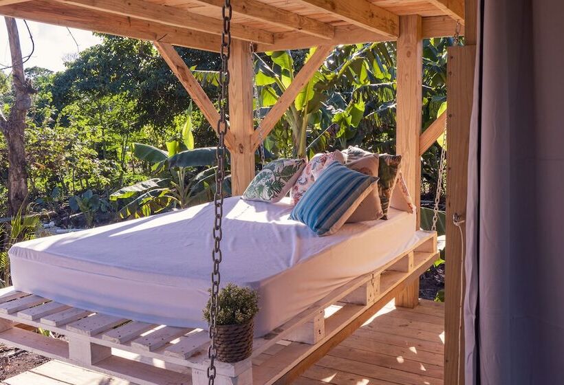 Отель Samana Eco Lodge