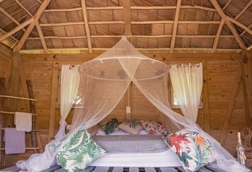 Отель Samana Eco Lodge