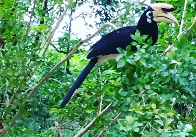 ホテル Sea Eagle Bungalow