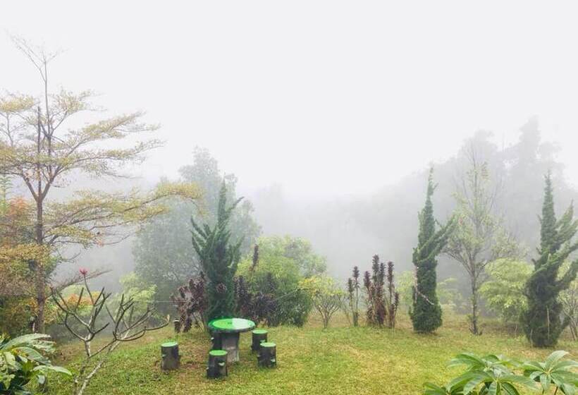 فندق Sinder Hill Resort