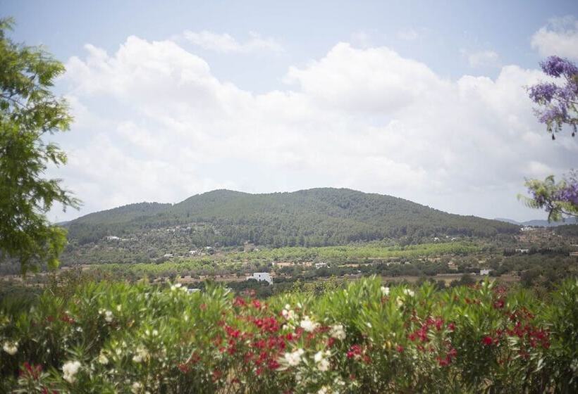 בית מלון כפרי Stoke Villa Ibiza