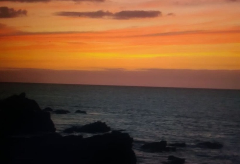 ホテル Symphony Ocean View