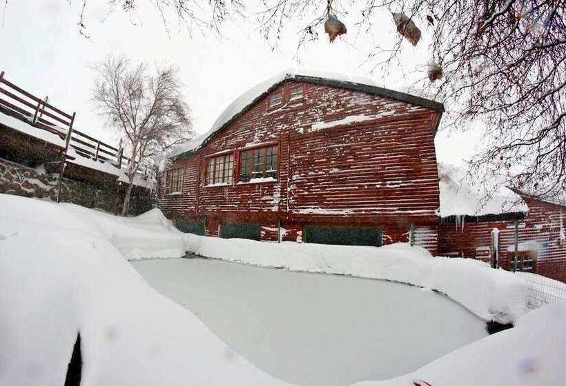 ホテル Tiffindell Ski Resort