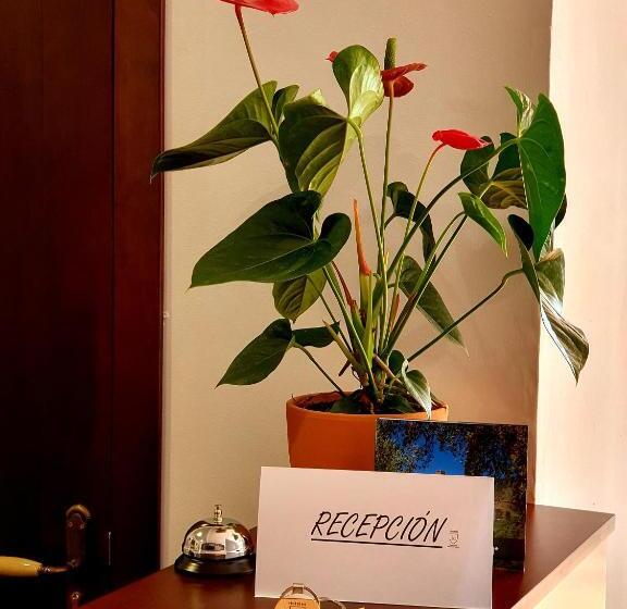 Ic Hoteles   Restaurante Casa García Almonaster La Real