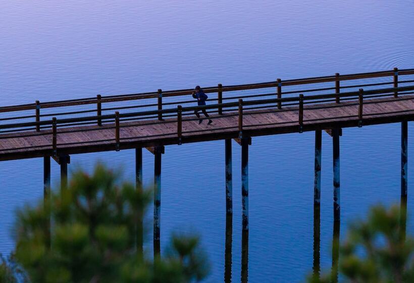 Mountain Pines Cottage #2349