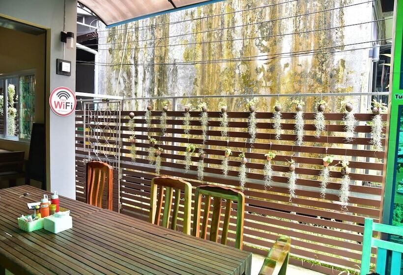 بنسيون Bamboo Gold