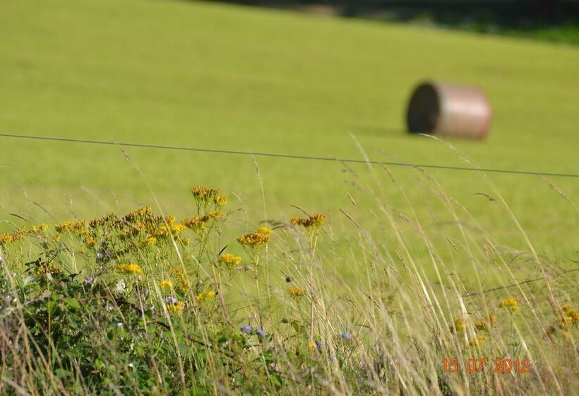 بنسيون Chambres Du Domaine Saint Anges