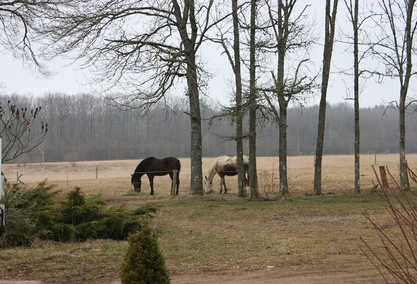 بنسيون Chambres Du Domaine Saint Anges