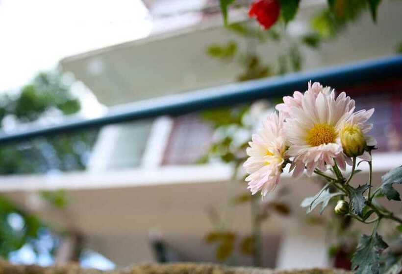 ペンション Elegant Home Stay