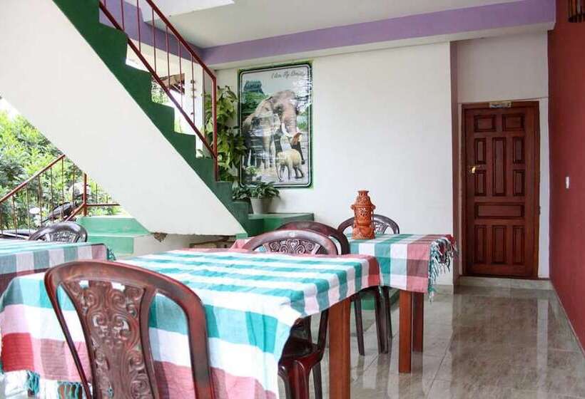 ペンション Elegant Home Stay